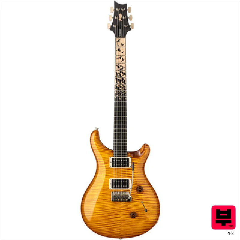 PRS Birds Of A Feather Custom 24 H - ST Style Guitars