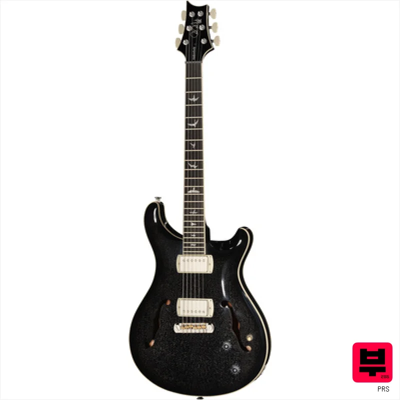 PRS SE Hollowbody Standard Dog HSB - Semiacoustic Guitars