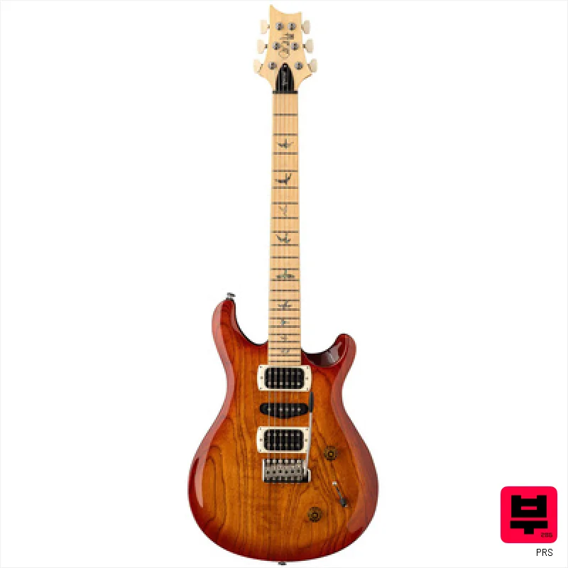 PRS SE Swamp Ash Special VS - Double Cut Guitars