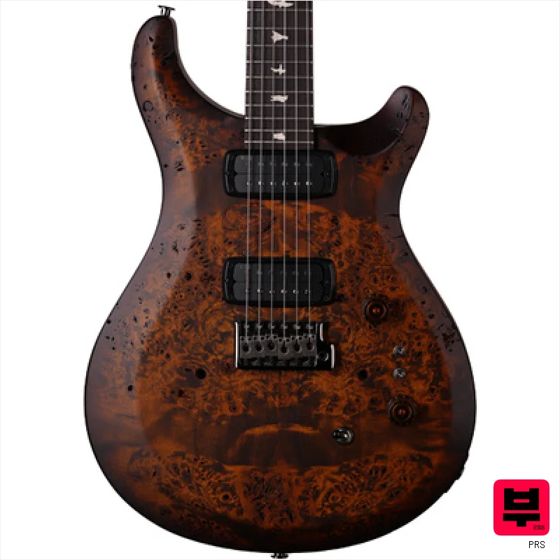 PRS Wood Library S2 Cust. 24-08 BG - Professional Music Instrument Photo