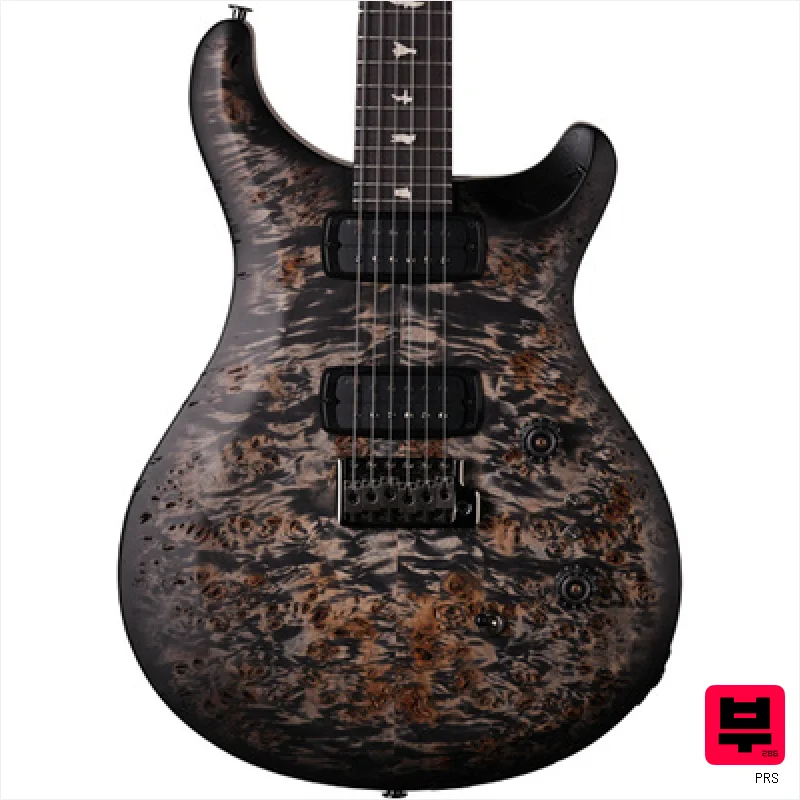 PRS Wood Library S2 Cust. 24-08 CB - Professional Music Instrument Photo