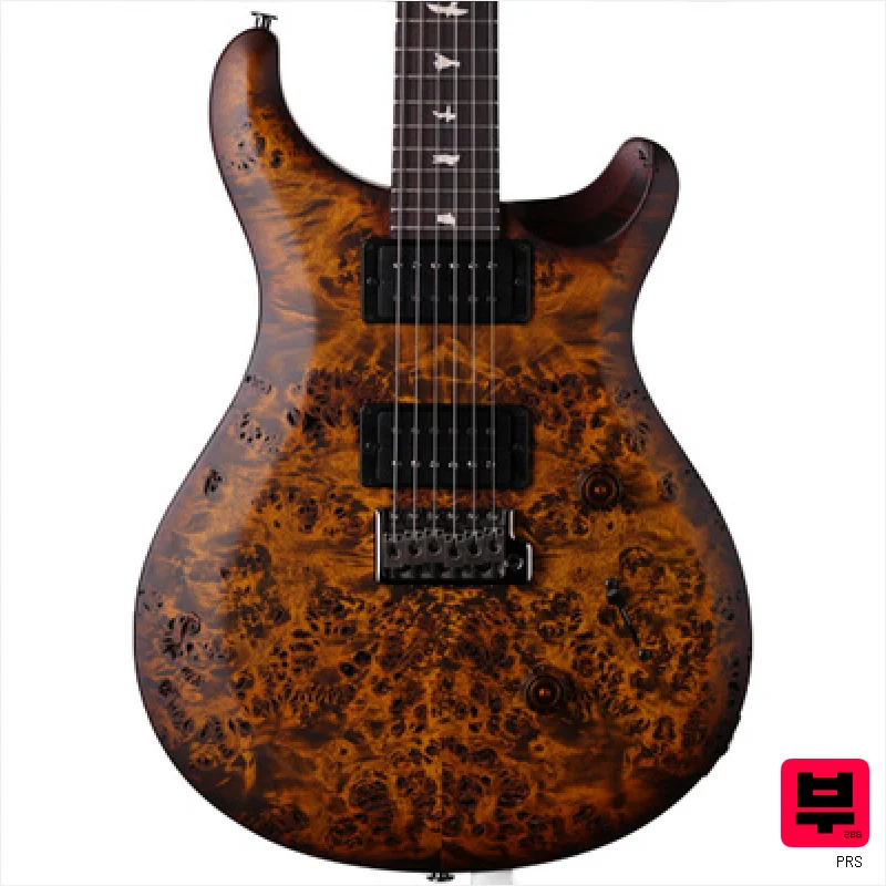PRS Wood Library S2 Custom 24 BG - Professional Music Instrument Photo