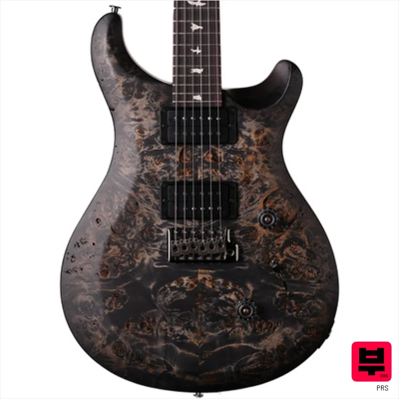 PRS Wood Library S2 Custom 24 CB - Professional Music Instrument Photo