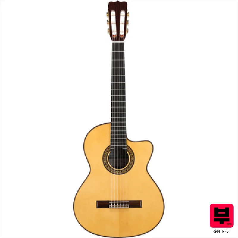 Ramirez G-Line CW-S - Professional Music Instrument Photo
