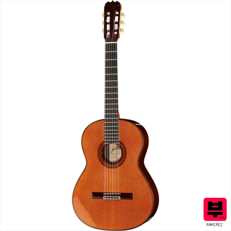 Ramirez Tradicional 1A w. case - Professional Music Instrument Photo