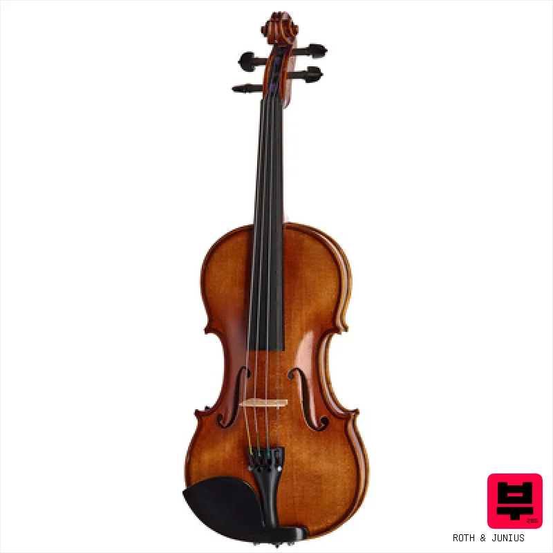 Roth & Junius Bird`s Eye Maple Violin Gu/E - Professional Music Instrument Photo
