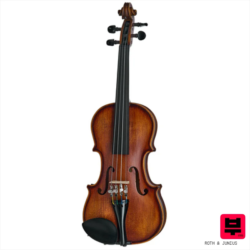 Roth & Junius Estudio Violin Set 1/8 - Professional Music Instrument Photo