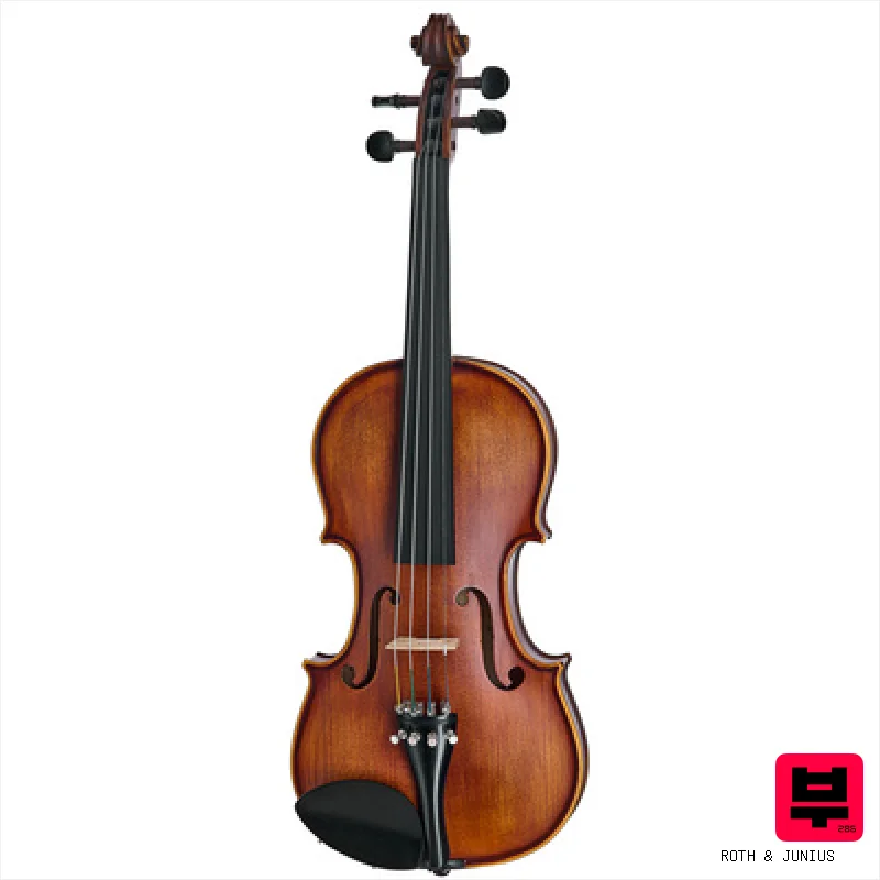 Roth & Junius Estudio Violin Set 4/4 - Professional Music Instrument Photo