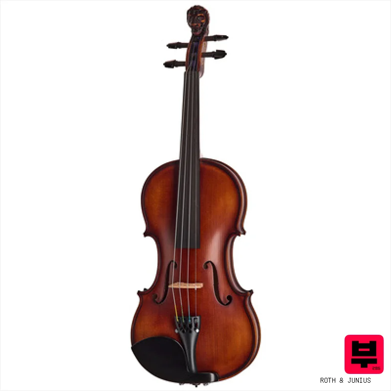 Roth & Junius Europe Lion`s Head Violin Gu/E - Professional Music Instrument Photo