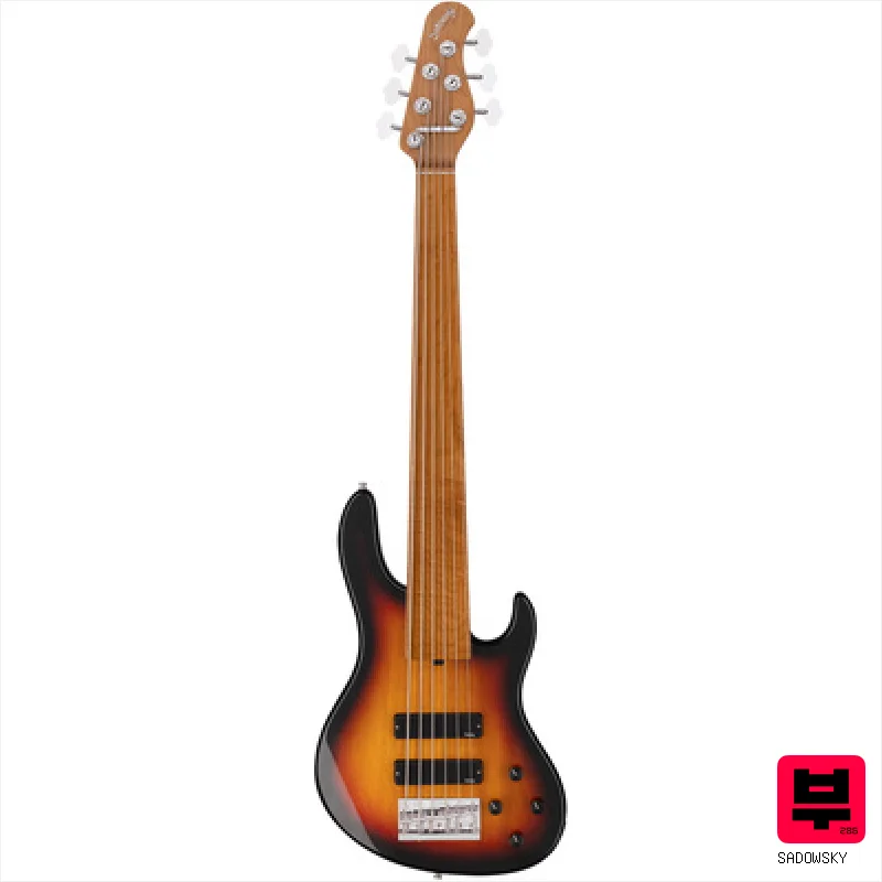 Sadowsky MetroExpress 24-Fret 6 RM TST - Professional Music Instrument Photo