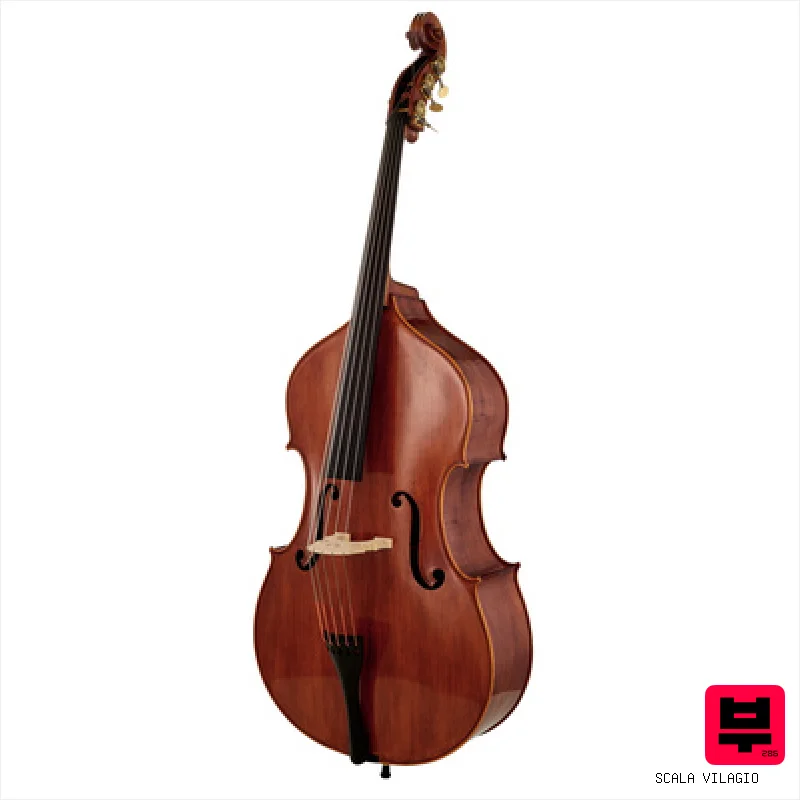 Scala Vilagio Double Bass Bucur 5-Str. IB - 5-String Double Basses
