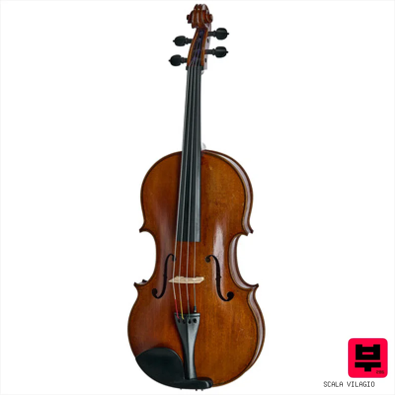 Scala Vilagio F.H. A. Guarneri Viola 1676 - Professional Music Instrument Photo