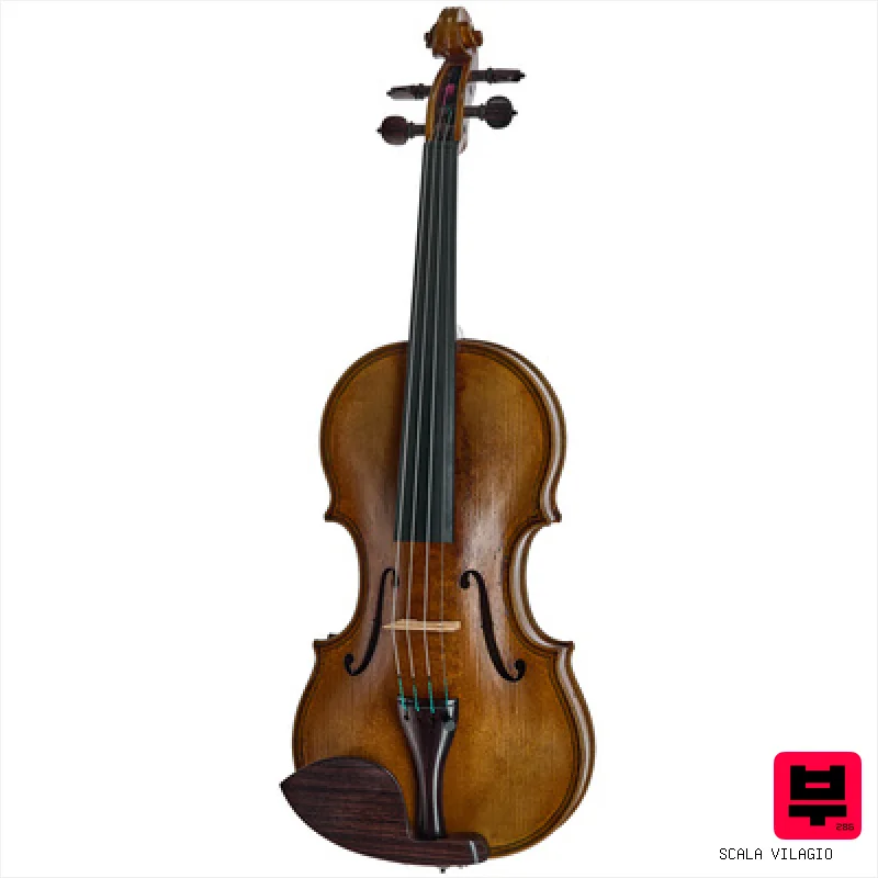 Scala Vilagio F.H. Maggini before 1632 - Acoustic Violins