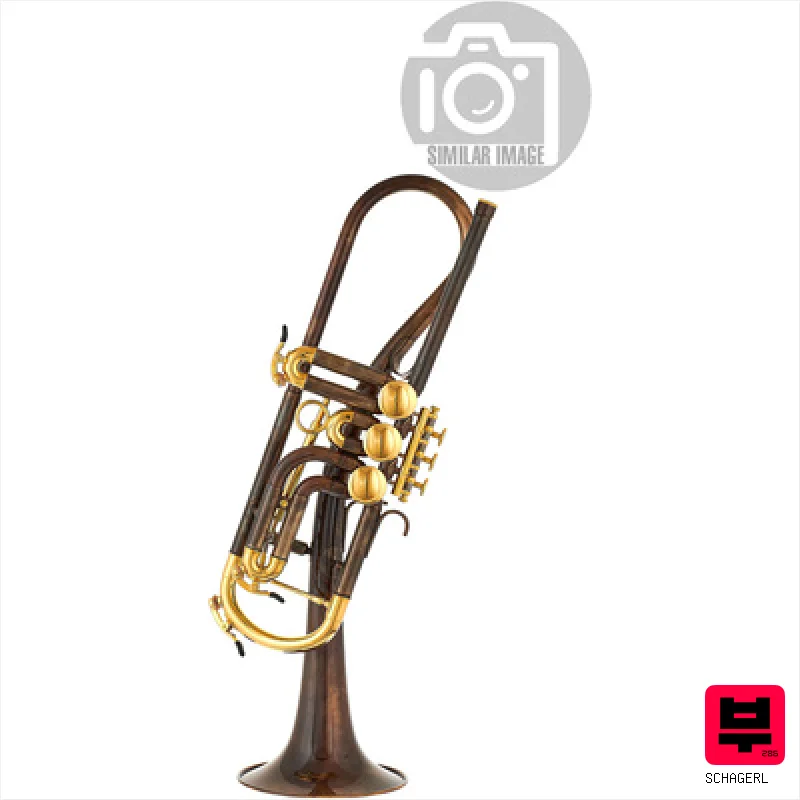 Schagerl Ganschhorn heavy Bb-Trumpet SV - Rotary Valve Bb Trumpets