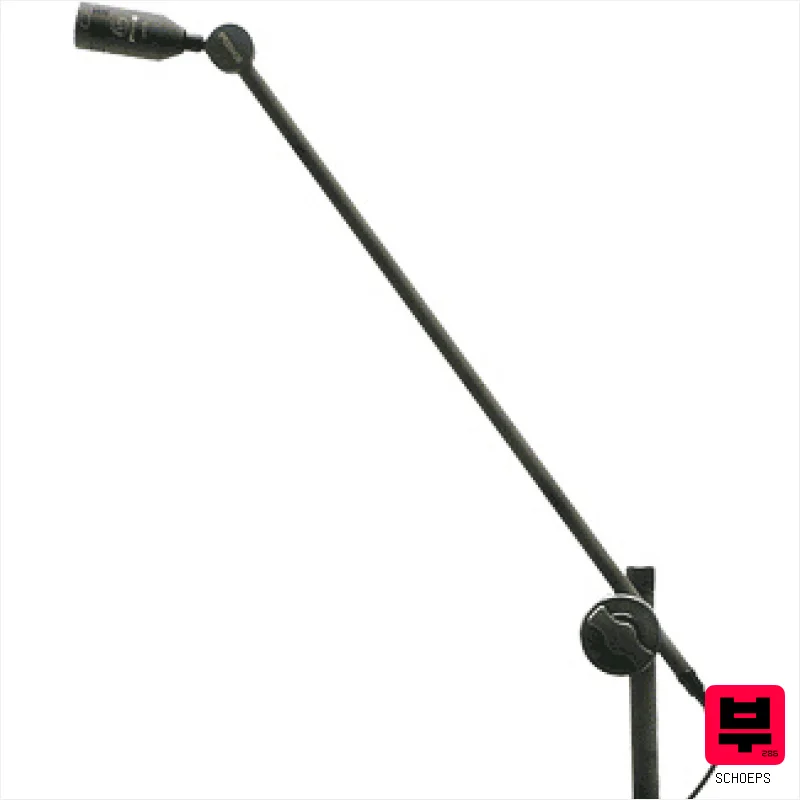 Schoeps RL 700 - Professional Music Instrument Photo