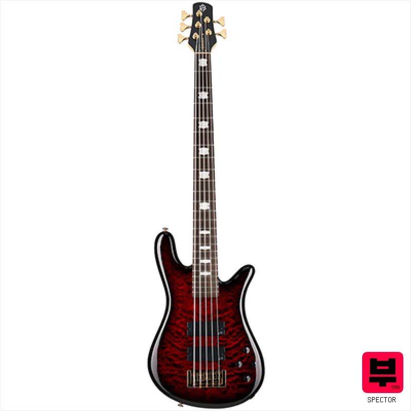 Spector Icon NS-5 Bolt-On BCG - Professional Music Instrument Photo