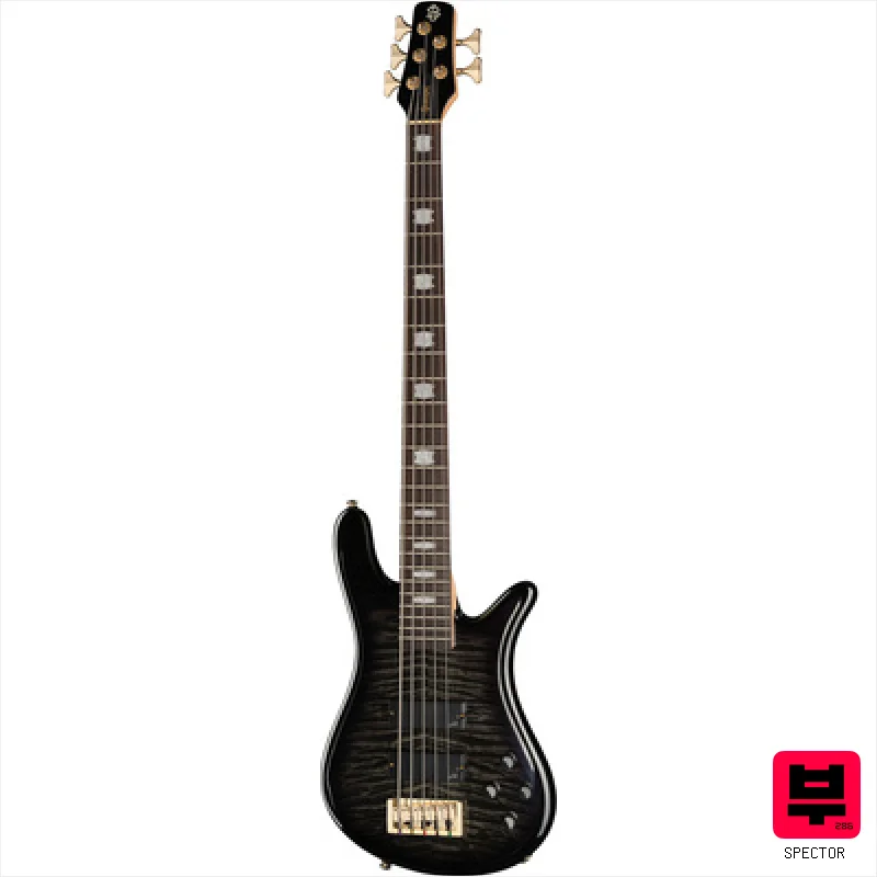 Spector Icon NS-5 Bolt-On BSG - Professional Music Instrument Photo