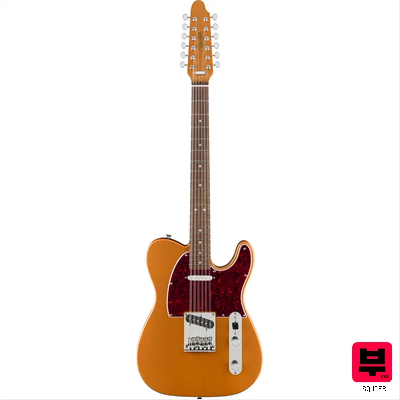 Squier Paranormal Troy V Leeuwen Tele - 12 String Guitars