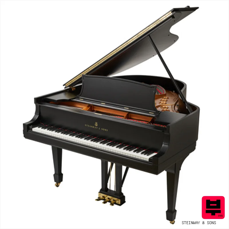 Steinway & Sons M-170 black mat - Professional Music Instrument Photo