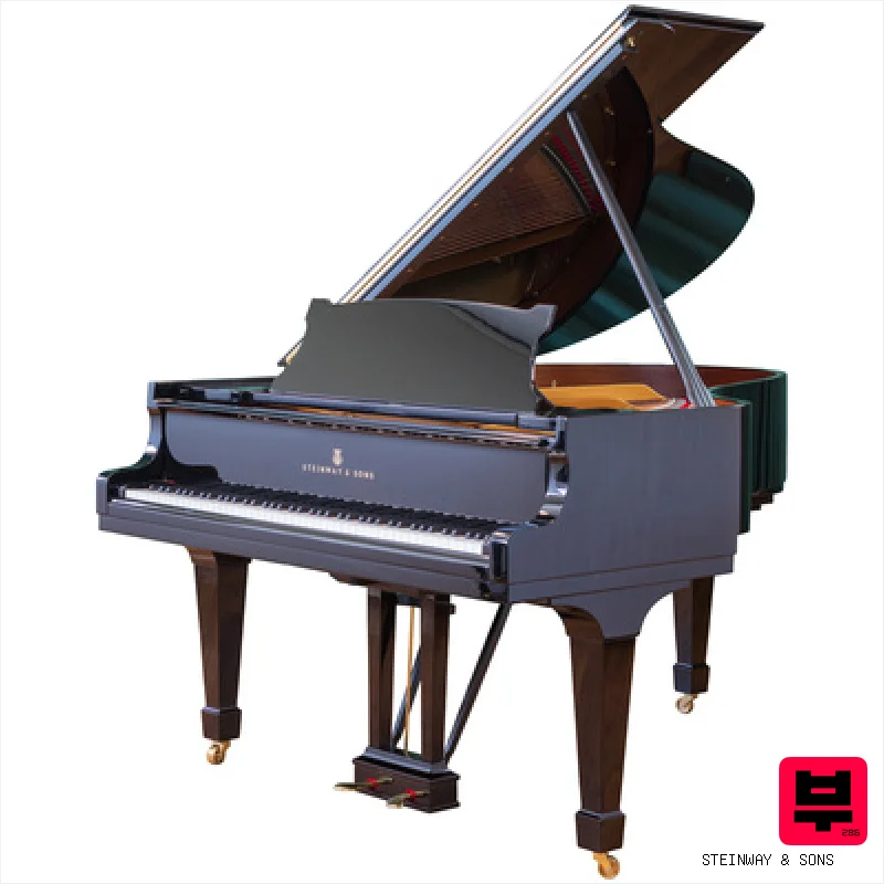 Steinway & Sons O-180 - Professional Music Instrument Photo