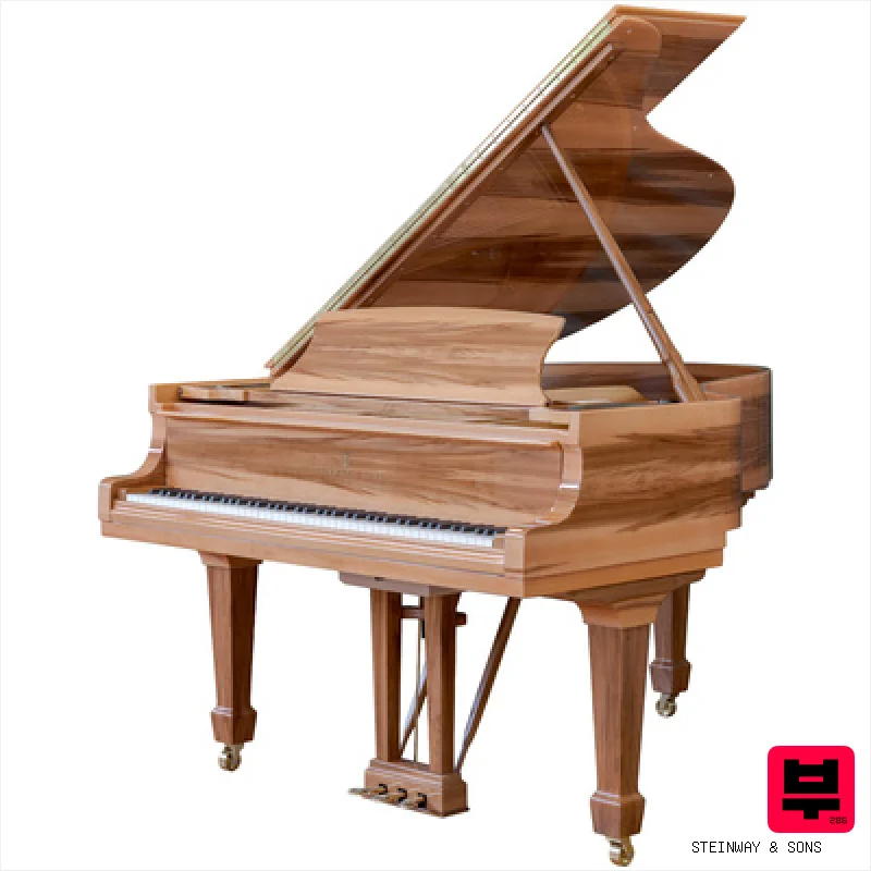 Steinway & Sons O-180 Amberwood - Professional Music Instrument Photo