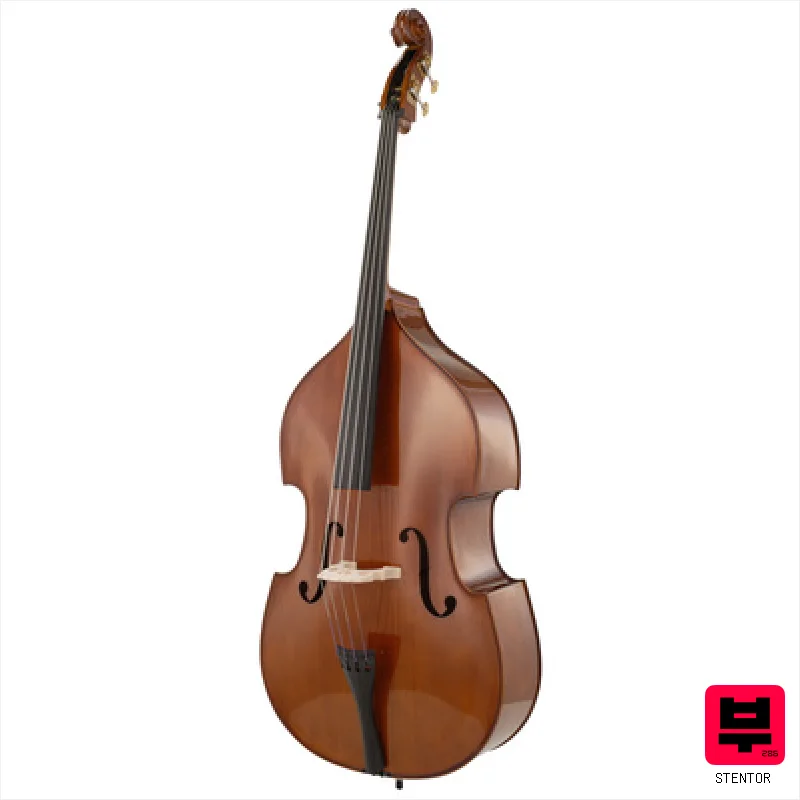 Stentor SR1438 Double Bass 4/4 - Solid Double Basses