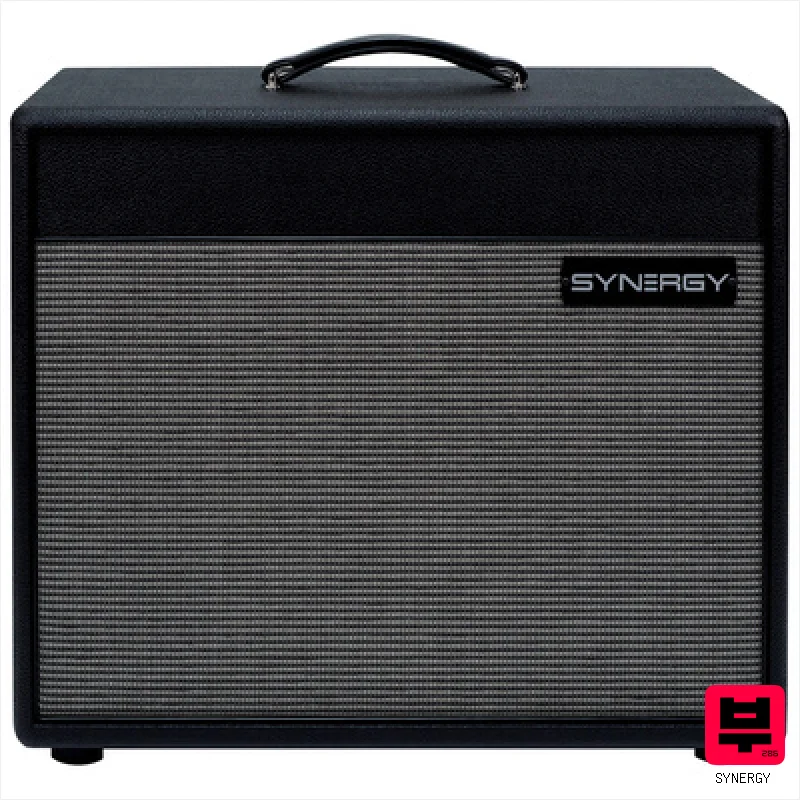 Synergy 112 Ext Cabinet - 1x12 Guitar Cabs