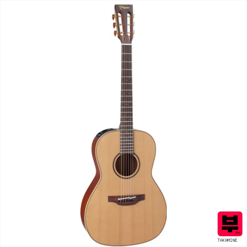 Takamine P3NY2