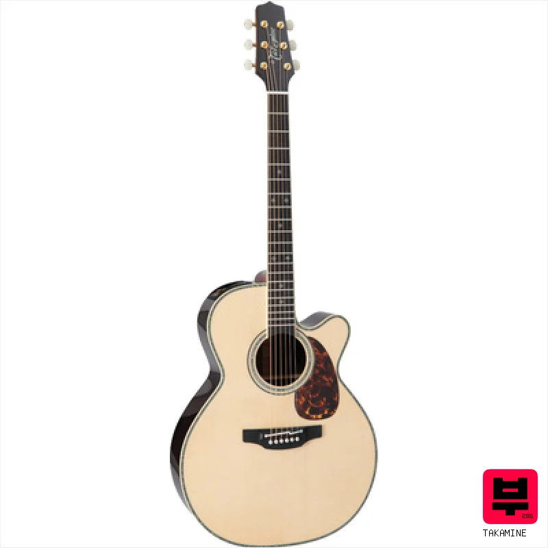 Takamine RNV460C