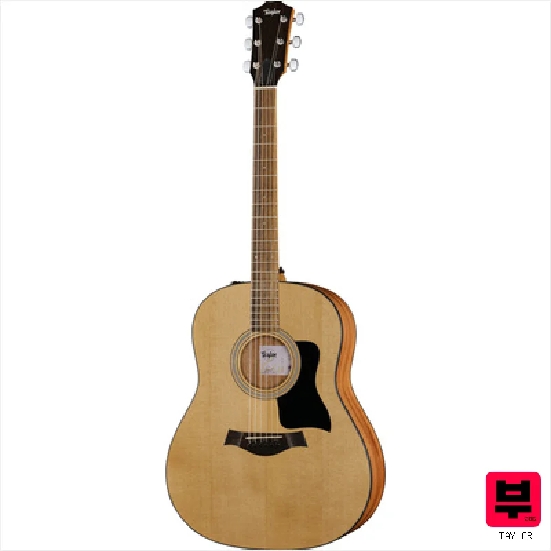 Taylor 117e Grand Pacific Eucalyptus - Miscellaneous Acoustic Guitars