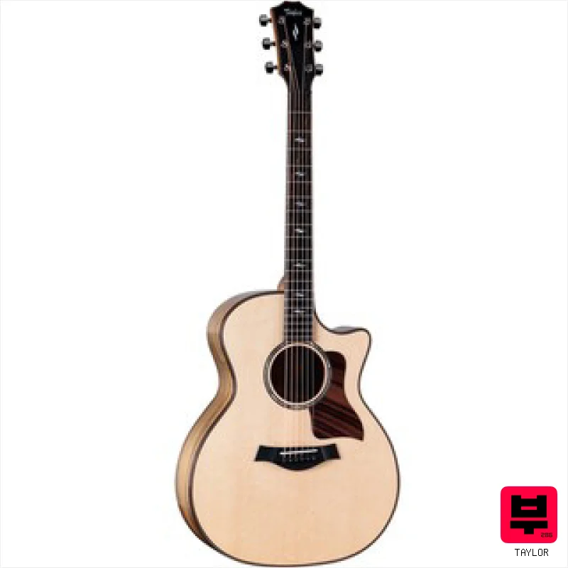 Taylor 814ce SE Sassafras Next Gen