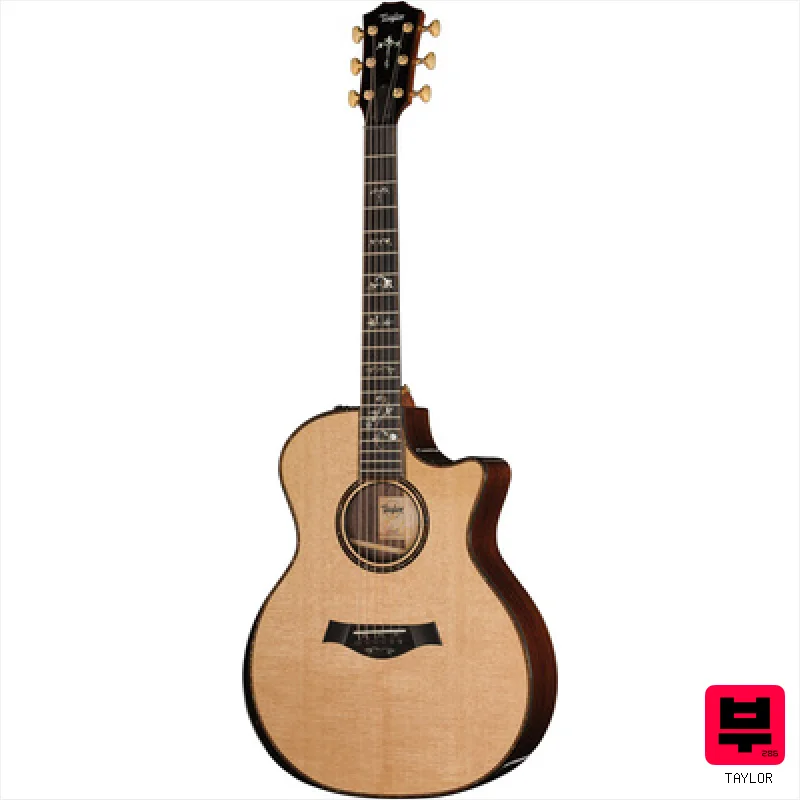 Taylor 914ce Special Edition - Miscellaneous Acoustic Guitars