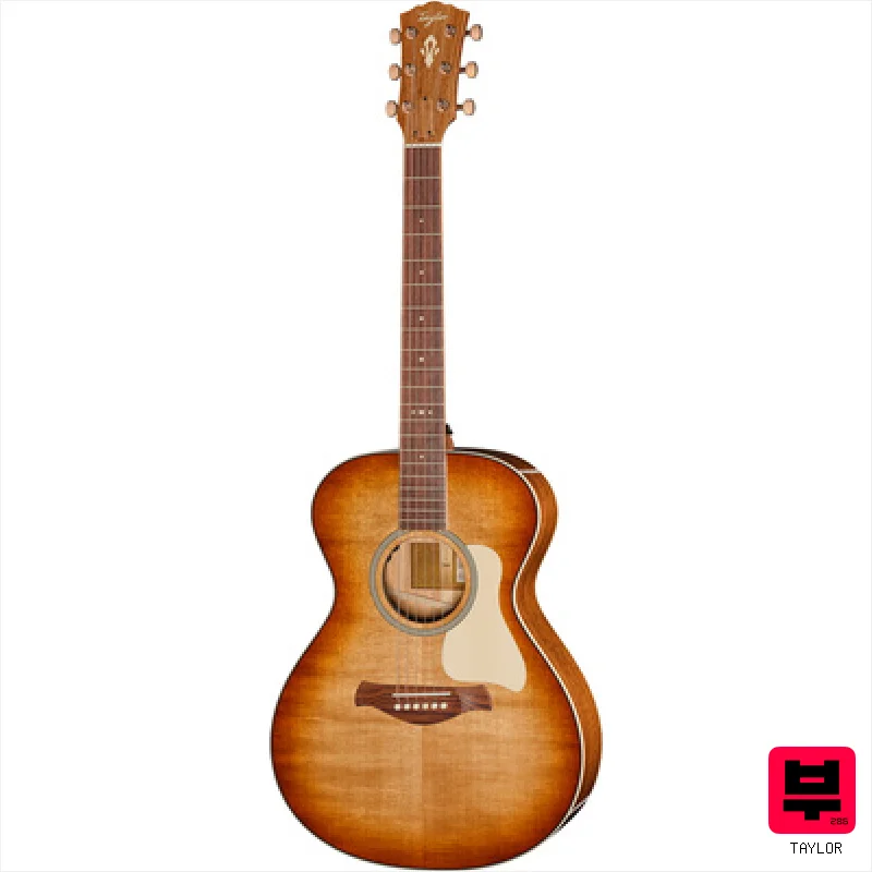 Taylor Ben Harper Gold Label 512e SEB - Miscellaneous Acoustic Guitars