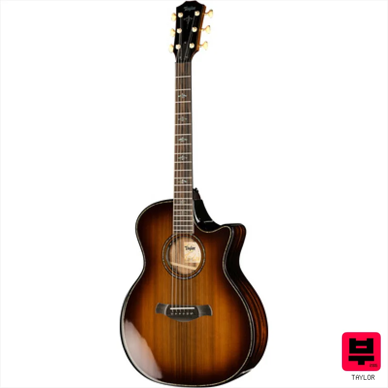 Taylor Builder's Edition 914ce LTD Ma - Miscellaneous Acoustic Guitars
