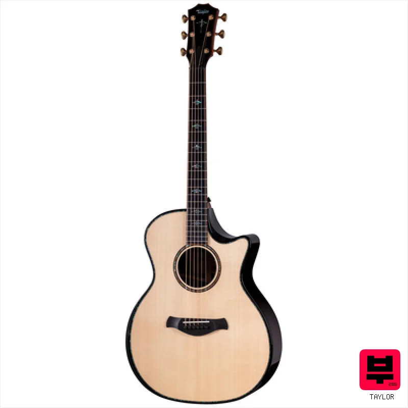 Taylor Builders Edition 914ce Next Ge - Miscellaneous Acoustic Guitars