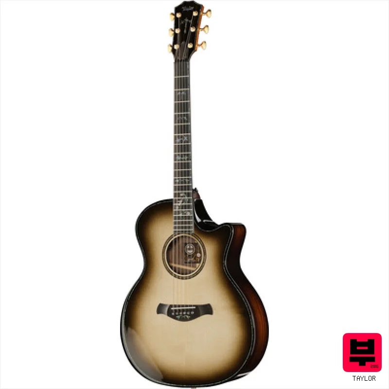 Taylor C14ce B6008 Custom #8 - Miscellaneous Acoustic Guitars