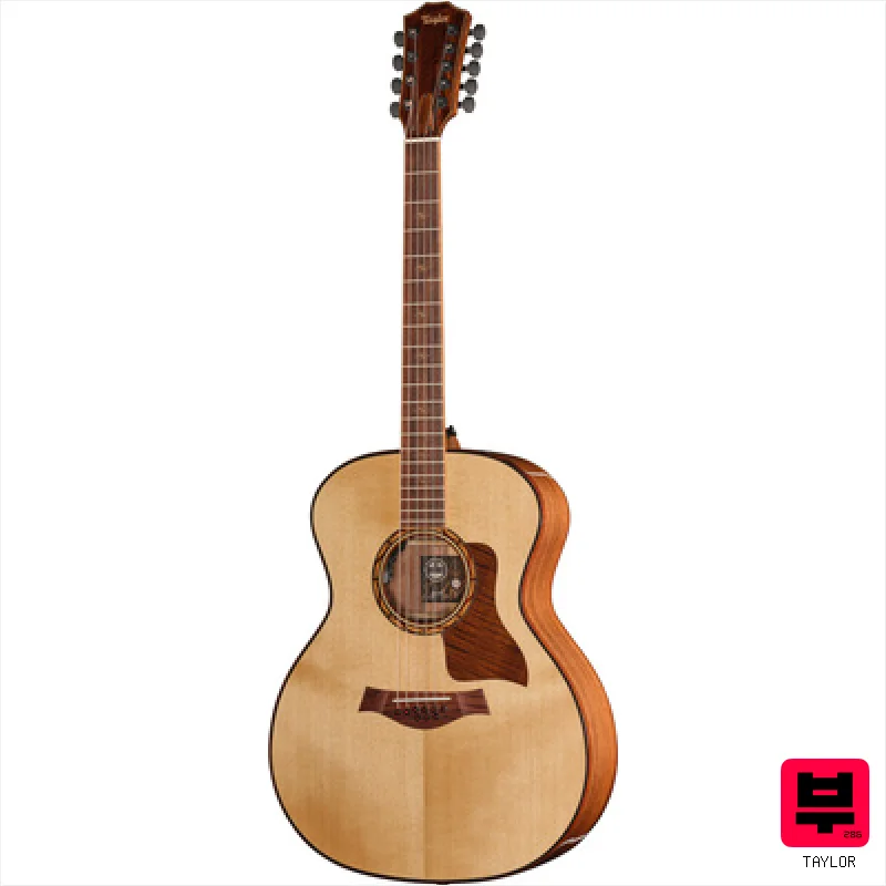 Taylor C14e B6011 Custom #11 - Miscellaneous Acoustic Guitars