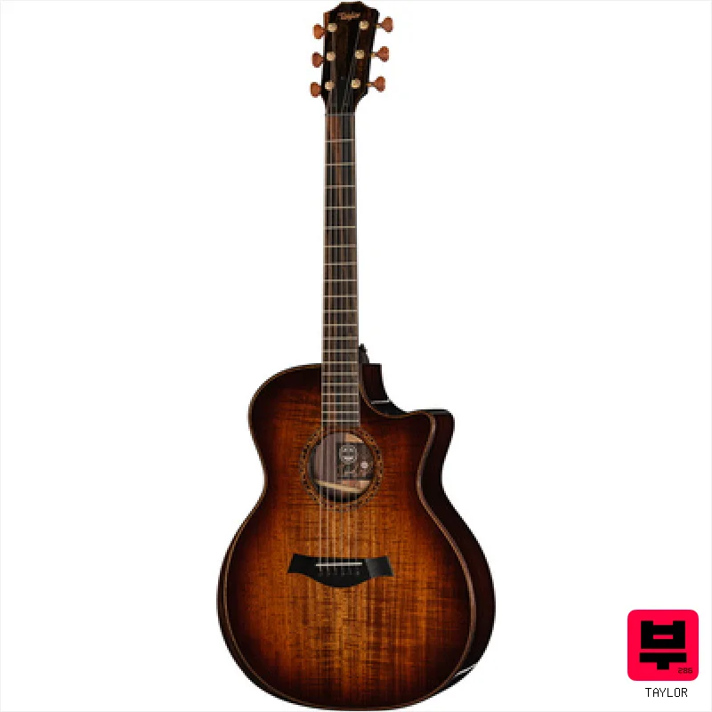 Taylor C24ce B6002 Custom #2 - Professional Music Instrument Photo