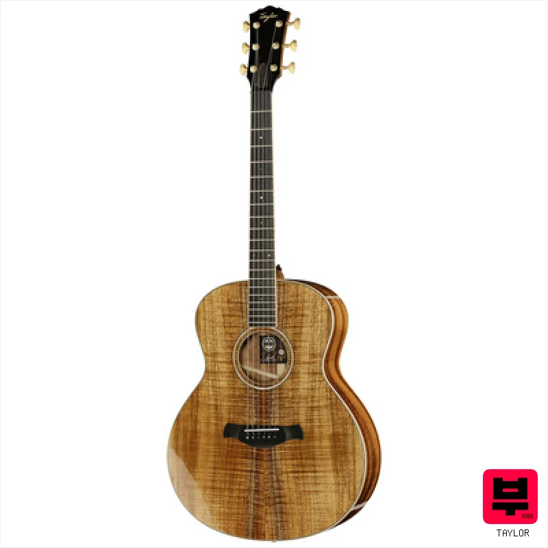 Taylor C24ce C0786 Custom - Miscellaneous Acoustic Guitars