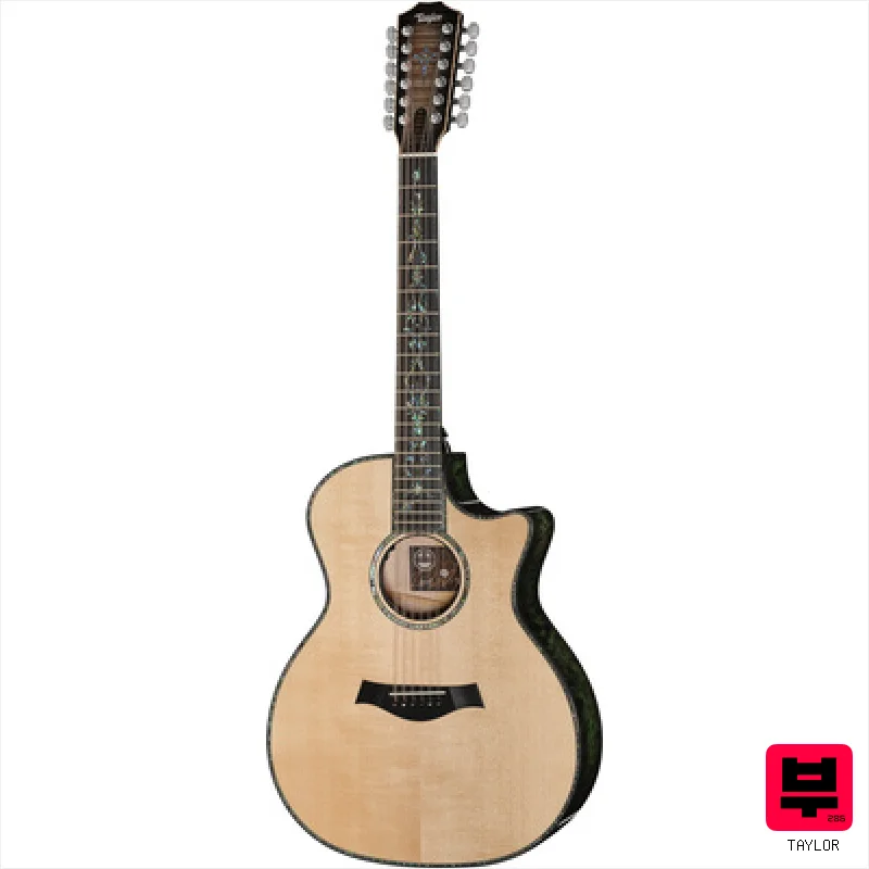 Taylor C54ce B6024 Custom - Premium Acoustic Guitars
