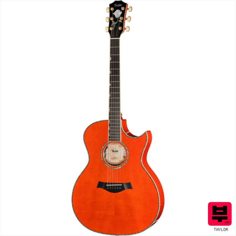 Taylor Doyle Dykes Signature Model - Miscellaneous Acoustic Guitars