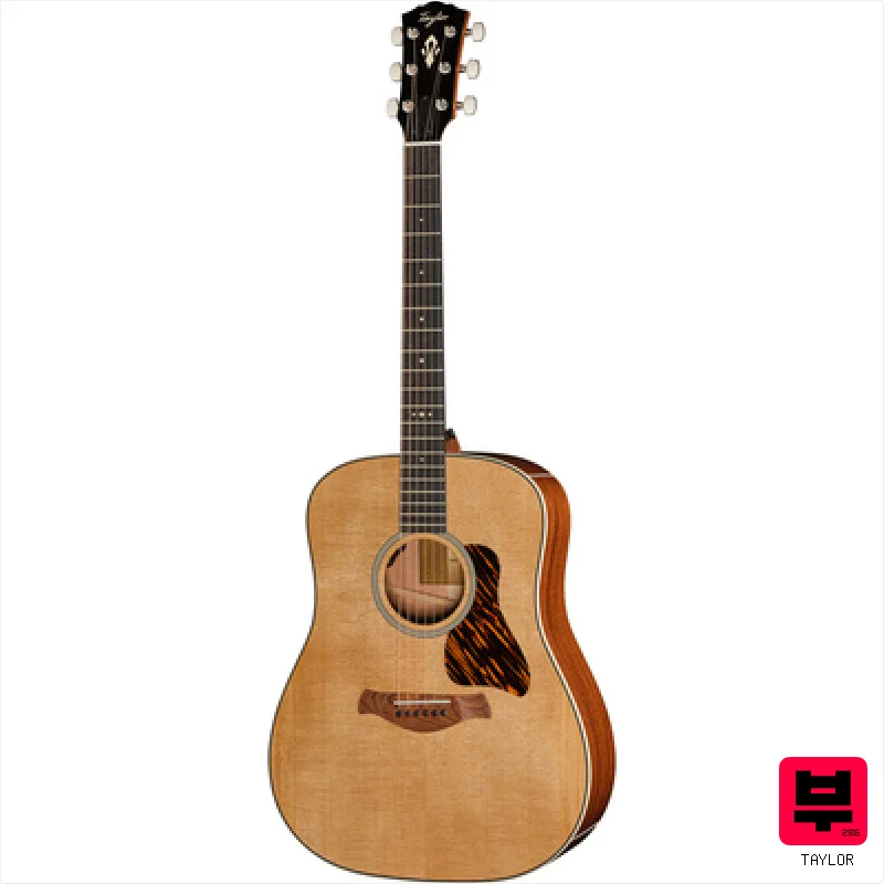 Taylor Gold Label 510e - Professional Music Instrument Photo