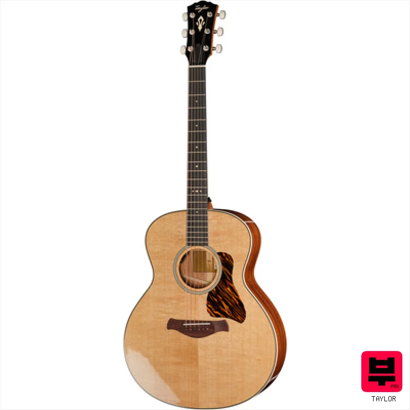 Taylor Gold Label 514e - Miscellaneous Acoustic Guitars