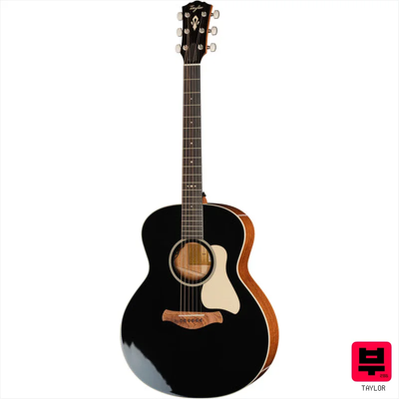 Taylor Gold Label 514e Blacktop - Miscellaneous Acoustic Guitars
