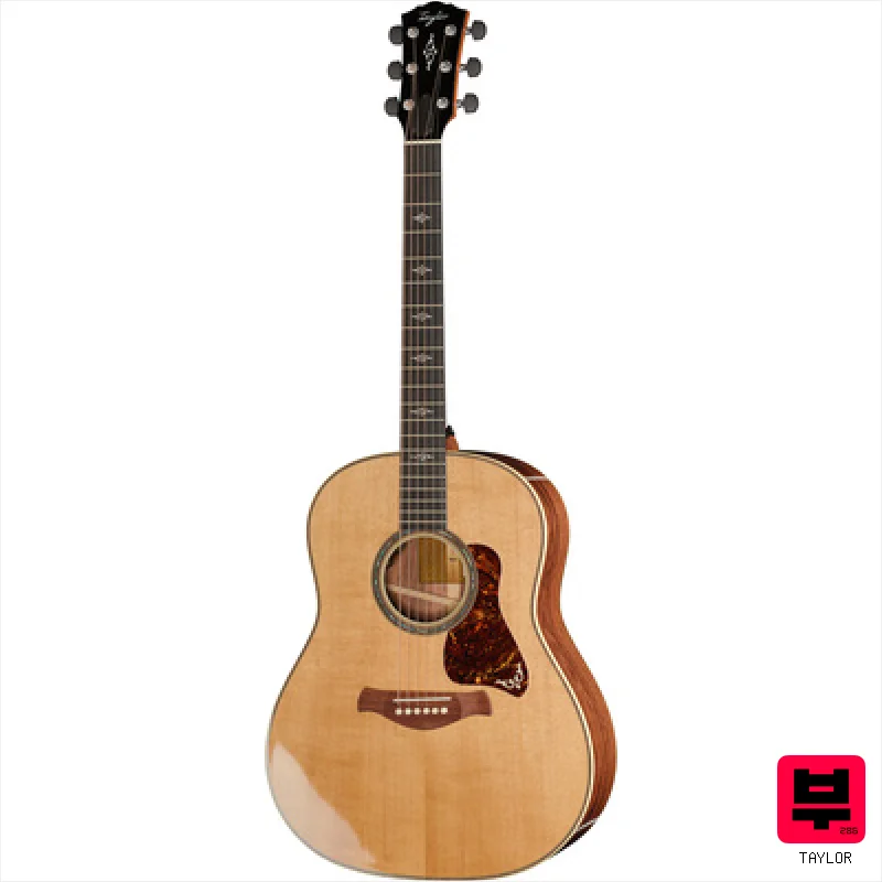 Taylor Gold Label 817e - Professional Music Instrument Photo