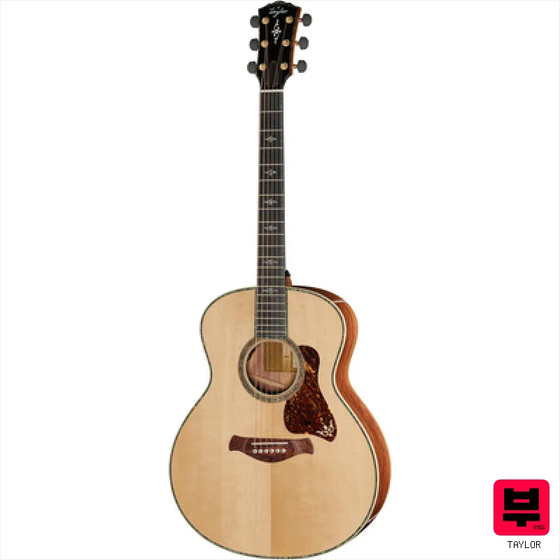 Taylor Gold Label 914e - Miscellaneous Acoustic Guitars