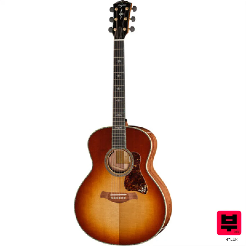 Taylor Gold Label 914e SB - Miscellaneous Acoustic Guitars
