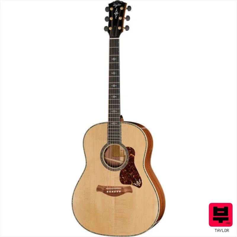 Taylor Gold Label 917e - Miscellaneous Acoustic Guitars