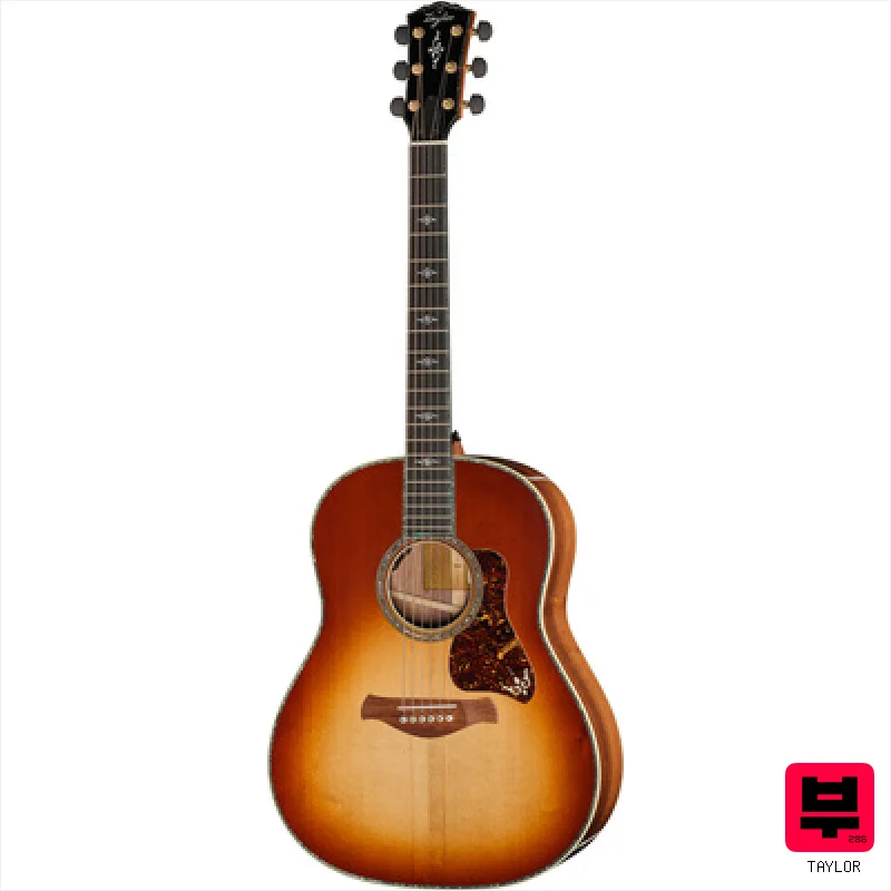 Taylor Gold Label 917e SB - Miscellaneous Acoustic Guitars