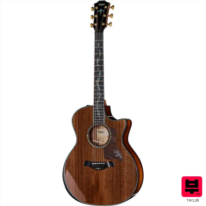 Taylor PS14ce Presentation - Miscellaneous Acoustic Guitars